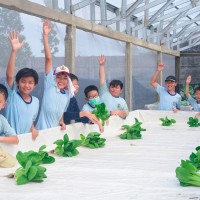 Kegiatan Outdoor Study Kelas VI SD Metta Maitreya ke KebunKita Pekanbaru | SD METTA MAITREYA